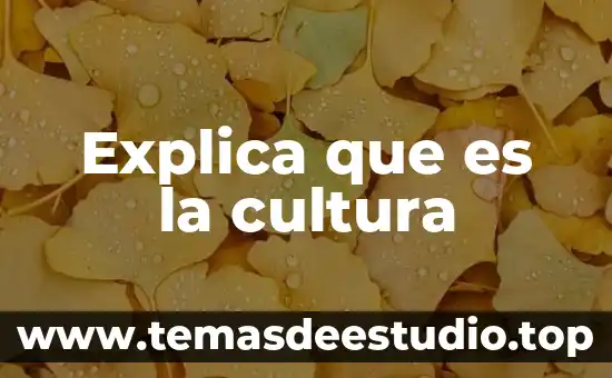 Explica que es la cultura