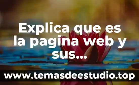Qué es base de datos para página web 8 Explica que es la pagina web y sus caracteristicas
