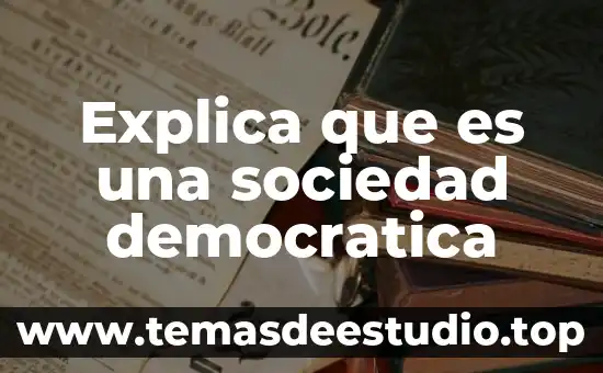 Explica que es una sociedad democratica