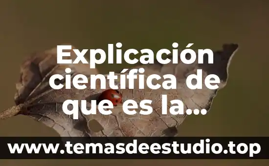 Qué es el proceso de maceración en la cerveza 7 Explicación científica de que es la cerveza