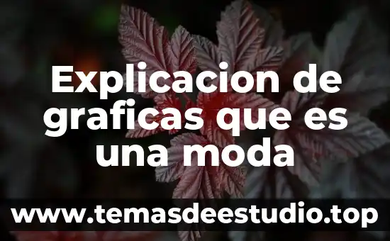 Que es ser intuitico 3 Explicacion de graficas que es una moda