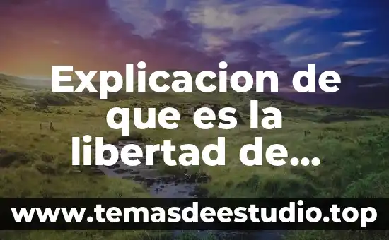 Explicacion de que es la libertad de genero
