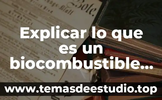 Como explicar a niños de preescolar que es el arte 6 Explicar lo que es un biocombustible y su impacto social