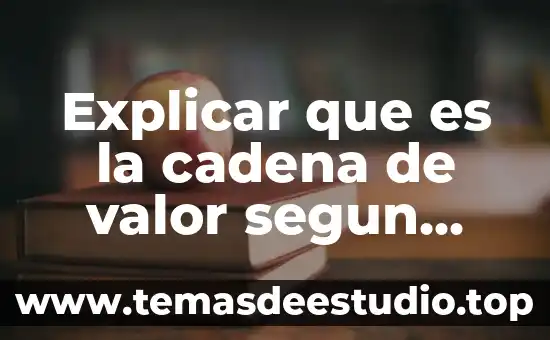 Que es la entrega de valores ala cadena de suministros 7 Explicar que es la cadena de valor segun michael porter