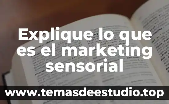 Explique lo que es el marketing sensorial
