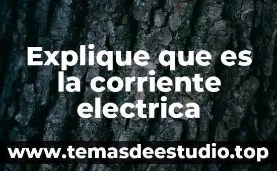 Afirmación que se refiere a lo que es 8 Explique que es la corriente electrica