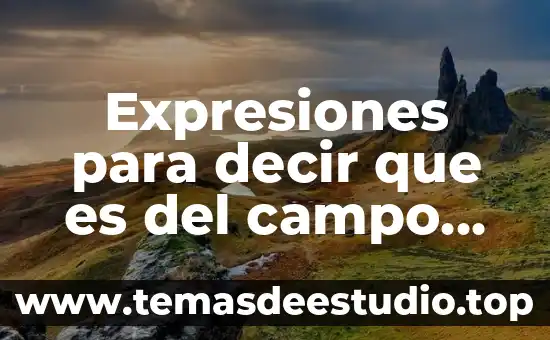 Que quiere decir que es un problema crack 7 Expresiones para decir que es del campo una persona