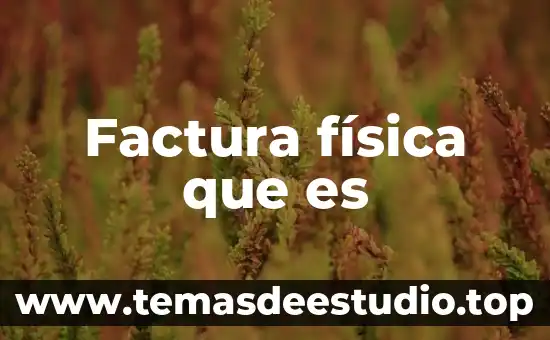 Factura física que es