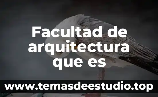 Que es arquitectura solar 7 Facultad de arquitectura que es