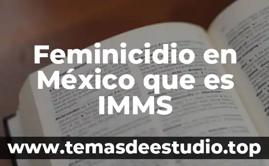 Feminicidio en México que es IMMS
