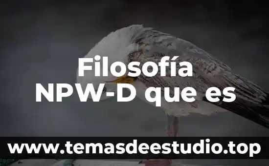 Filosofía NPW-D que es