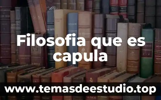 Filosofía que es la ley 6 Filosofia que es capula
