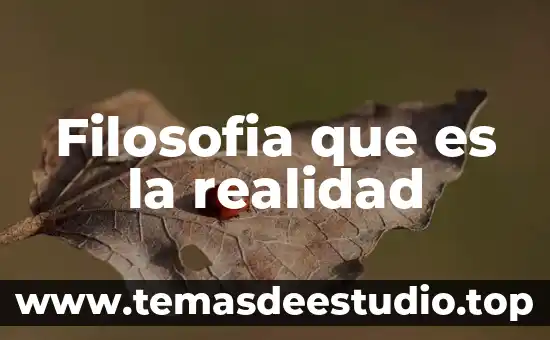 Filosofia que es la realidad