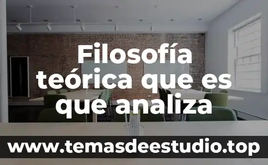 Filosofía teórica que es que analiza