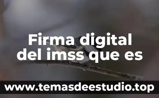 Que es una firma de definicion seguridad informatica 3 Firma digital del imss que es