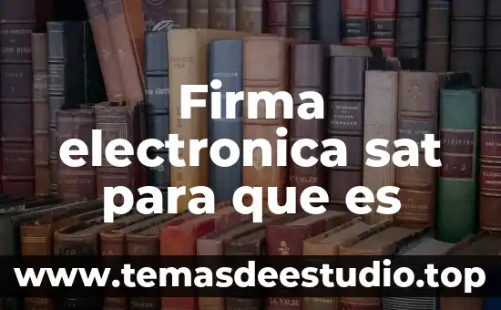 Que es la presentación electrónica 8 Firma electronica sat para que es