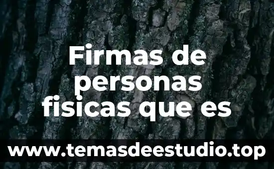 Qué es deducible de impuestos para personas físicas 2017 8 Firmas de personas fisicas que es