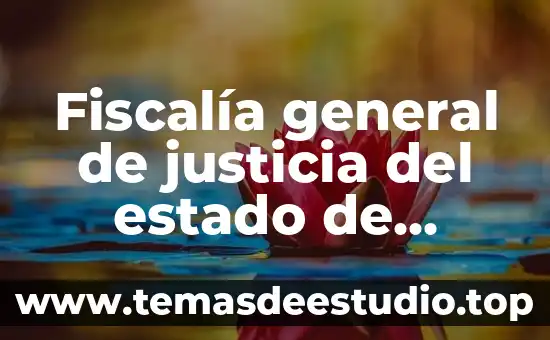 Qué es número de identificación del estado 4 Fiscalía general de justicia del estado de méxico que es