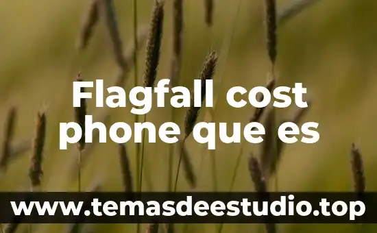 Que es la impresion de una persona 5 Flagfall cost phone que es