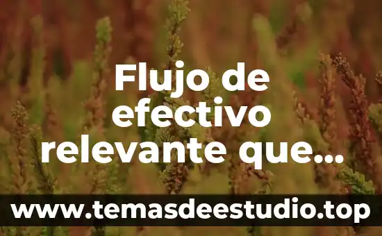 Flujo de efectivo relevante que es