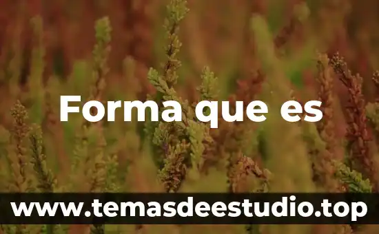 Que es software lenguaje de programacion 4 Forma que es