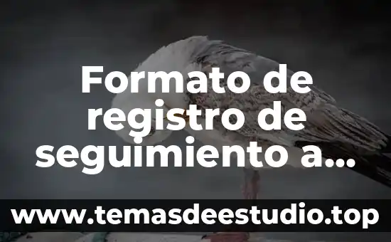 Que es administracion de las relaciones con los clientes 8 Formato de registro de seguimiento a los clientes que es