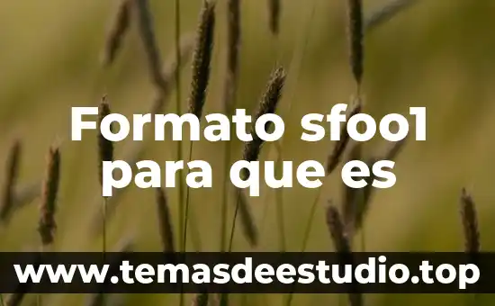 Que es el formato de r1 shcp 6 Formato sfoo1 para que es