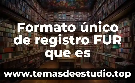 Que es el campo unico en base de datos 3 Formato único de registro FUR que es
