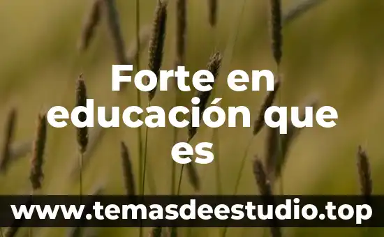 Que es la libertad del derecho a la educacion 6 Forte en educaci贸n que es