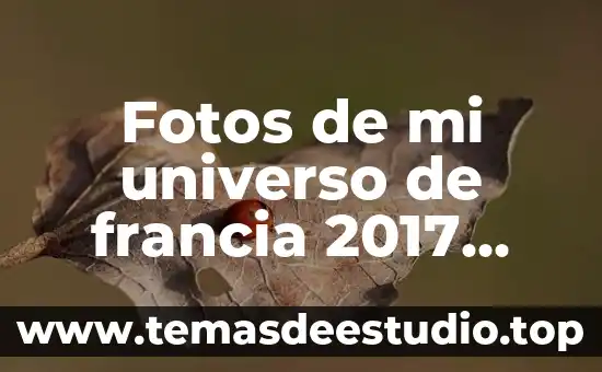 Que es la fisica y el conocimiento del universo 5 Fotos de mi universo de francia 2017 que es hombre