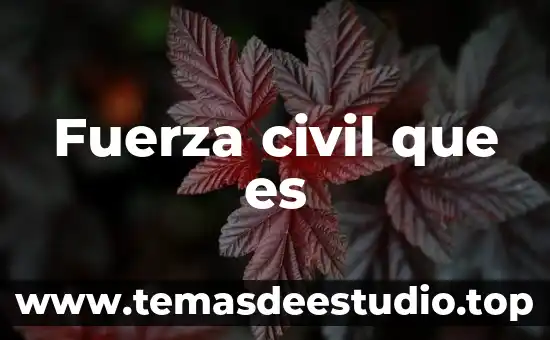 Que es la historia rincon del vago 8 Fuerza civil que es