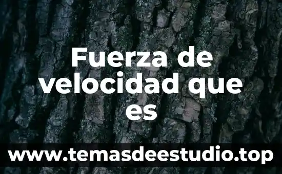 Que es supervisor de planta 8 Fuerza de velocidad que es