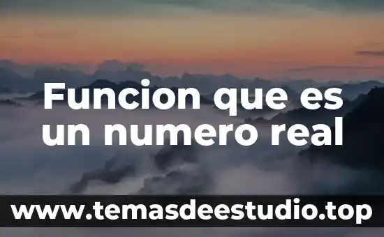 Qué es el número patronal del trabajo 6 Funcion que es un numero real