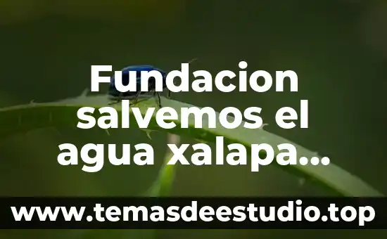 Agua de coco con piña para que es buena 8 Fundacion salvemos el agua xalapa que es