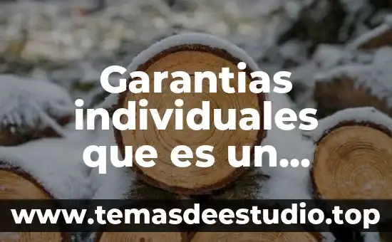Que es vertido en derecho 4 Garantias individuales que es un derecho fundamental