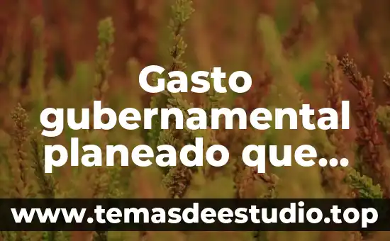Qué es un embarazo deseado y planeado 8 Gasto gubernamental planeado que es