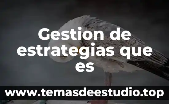 Gestion de estrategias que es