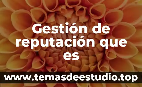 Qué es la gestión de la distribución de la planta 7 Gestión de reputación que es