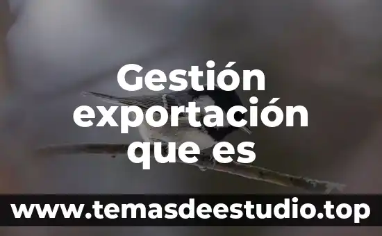 Y que es la verdad 6 Gestión exportación que es