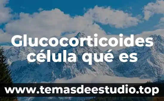 Qué es la célula del cartílago 4 Glucocorticoides célula qué es