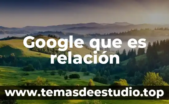 Google que es relación