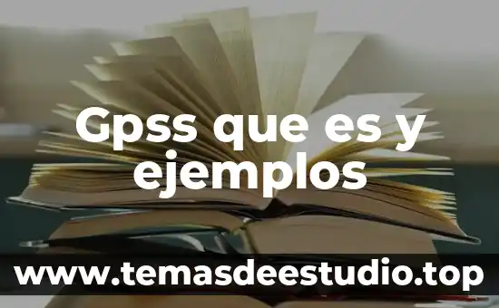 Gpss que es y ejemplos