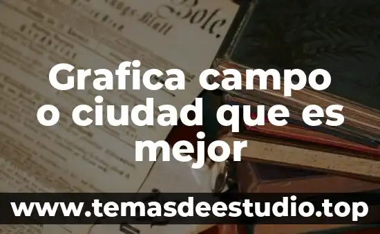 Como una ciudad llegó a ser lo que es 6 Grafica campo o ciudad que es mejor