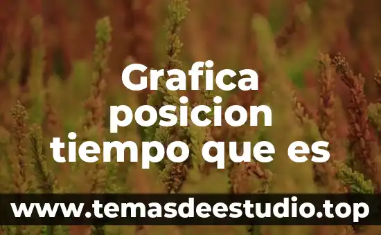 Que es la representación grafica de funciones 5 Grafica posicion tiempo que es