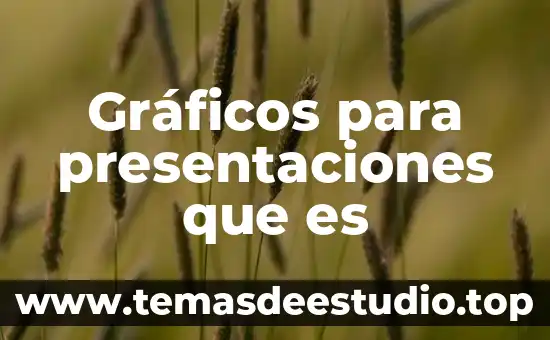 Gráficos para presentaciones que es
