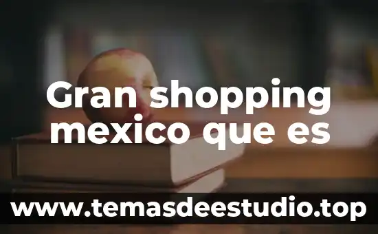 Gran shopping mexico que es