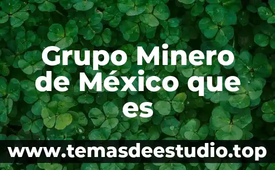Que es una sociedad en comandita por acciones en mexico 8 Grupo Minero de México que es