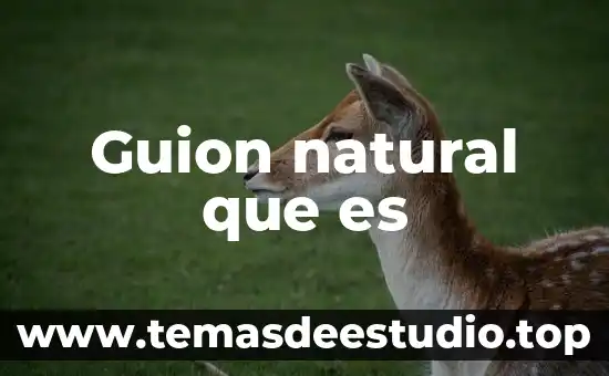 Que es un elemento natural flor 3 Guion natural que es