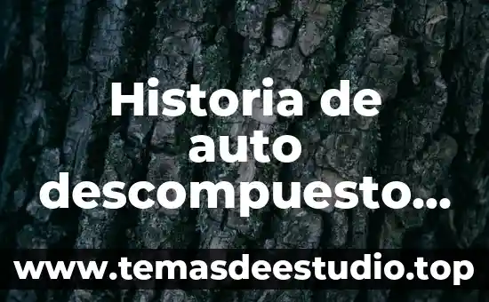 Que es el nylon historia 3 Historia de auto descompuesto en china que es copiado
