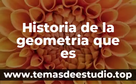 Historia de la geometria que es